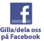 FaceInstlogo